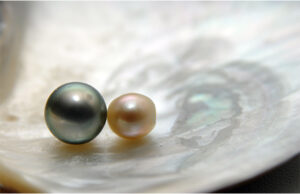 Perles sur coquille
